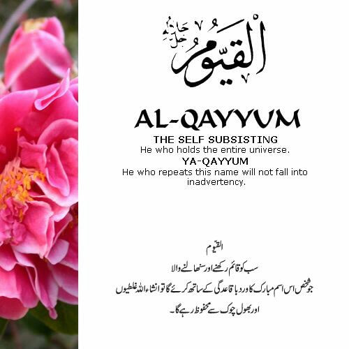 Islamic Reminders Quotes Arts Exploring Quran Hadith